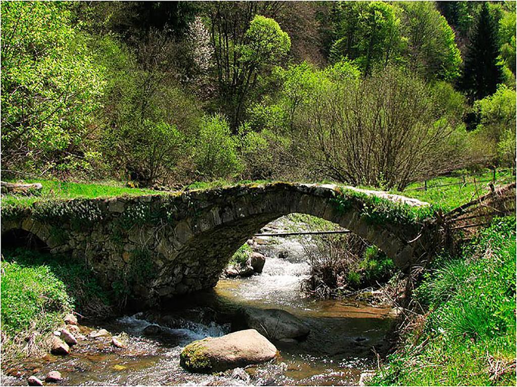 Family Hotel Valchanovata Kashta Fotinovo Εξωτερικό φωτογραφία